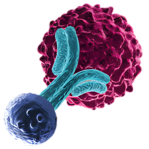 events in the series logos