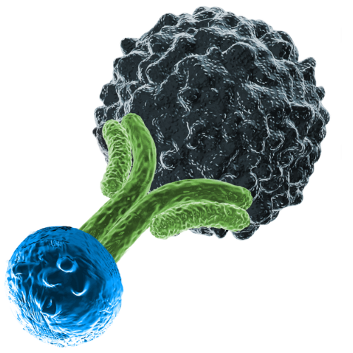 T-Cell Enager Therapeutics Summit Europe