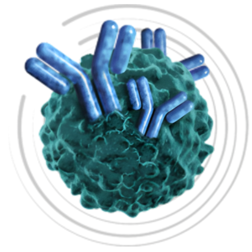 8th Treg-Directed Therapies Summit